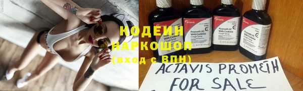 молекула духа Арсеньев
