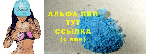 молекула духа Арсеньев