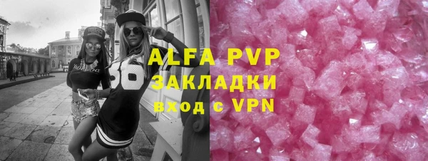 молекула духа Арсеньев