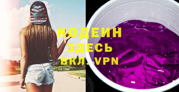 молекула духа Арсеньев