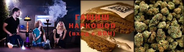 молекула духа Арсеньев