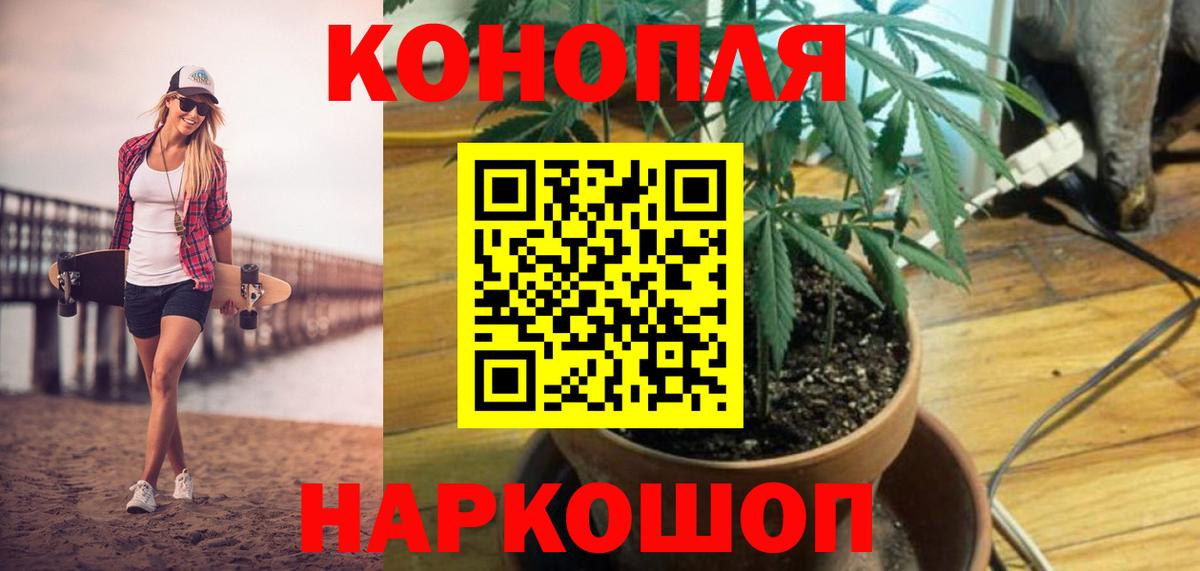 Бошки Шишки план  МАРИХУАНА тримм  Ейск  Вход с VPN 